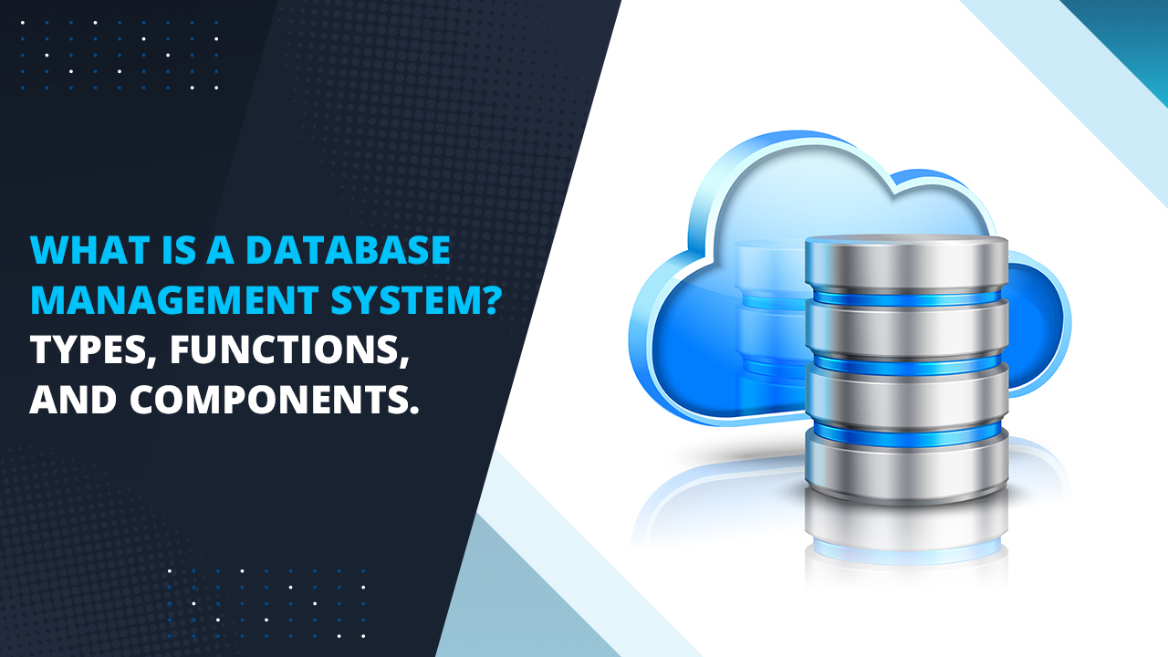 What is a Database management system? Types, Functions, and Components.